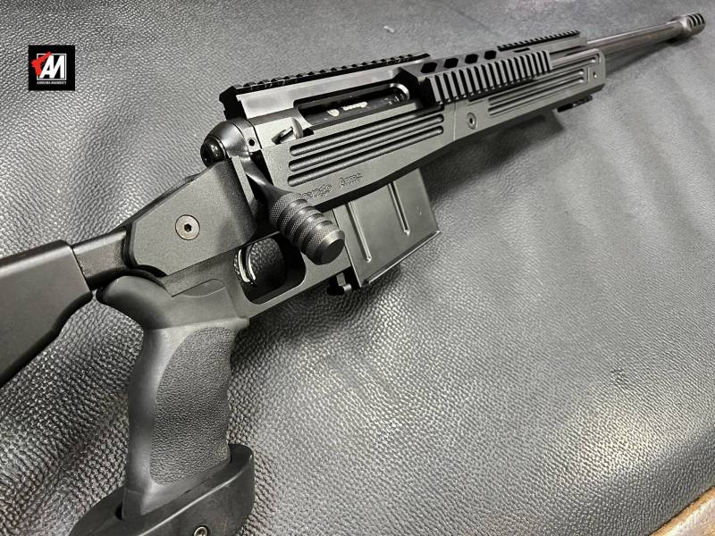 SAVAGE MOD. BA 10 LAW ENFORCEMENT CAL. 300 WIN.MAG. CM. 66 + FB · foto 1 di 1